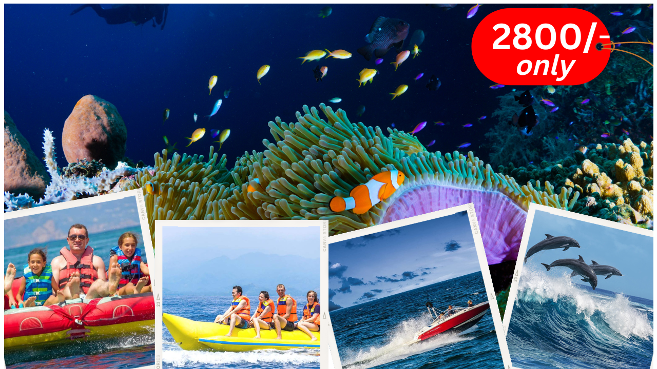 coral garden scuba diving and watersports in goa